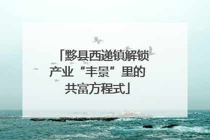 黟县西递镇解锁产业“丰景”里的共富方程式